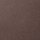 Hazelnut fine texture paint sample, dense granular surface, mottled appearance, warm muted brown tones, matte finish, consistent application.