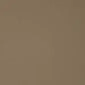 Cotton fabric swatch in ecru, displaying a matte finish and subtle granular texture with warm beige tonal variations.