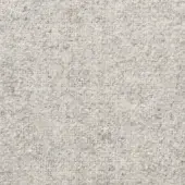 Felted wool fabric, muted sand color, uniform texture with short interwoven fibers and subtle mottled appearance, matte finish.