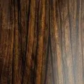 Polished green ebony wood texture with vertical grain, displaying dark and light color variation and a glossy, reflective sheen.