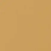 Solid color background, warm ochre tone, uniform matte finish, consistent neutral hue throughout the frame, simple and understated composition.