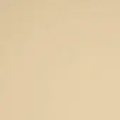 Paros eco leather swatch, muted beige, fine grain texture, matte finish, consistent color variation, durable material sample.