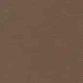 Brown leather texture sample with a fine, pebbled grain and even medium-tone, categorized as “leather (extra)” within the Porada 1607 collection.