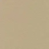 Leather texture sample, light beige, consistent grain pattern, smooth surface, Porada l604 leather (extra) collection, white background.