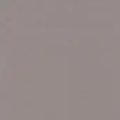 Gray leather texture sample displaying a granular, matte finish with subtle tonal variations and consistent full-grain pattern; identified as “l648”.