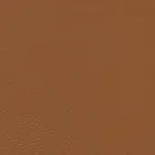 Brown leather texture sample displaying a fine-grained, pebbled surface with warm tonal variations and a smooth, consistent finish.