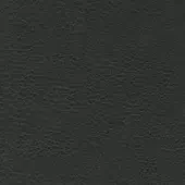 Dark gray leather texture sample with fine grain, matte finish, and consistent charcoal color, from the Porada leather (plus) collection.