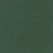 Dark green leather texture with fine grain, displaying subtle creases and matte finish, evoking a soft, slightly distressed quality.