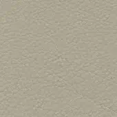 Light beige leather texture, densely creased surface, smooth finish, neutral pattern, Porada leather collection, suitable for upholstery.