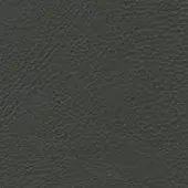 Dark gray leather texture with irregular grain patterns, subtle creases, and a matte, slightly pebbled finish conveying durability.
