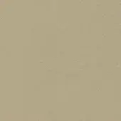 Light beige leather texture with a subtly mottled, pebbled surface and fine wrinkles, displaying a matte finish and warm tonal variations.