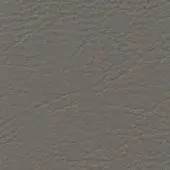 Gray leather texture with a pebbled grain and subtle creases against a white backdrop, displaying a matte finish and tonal variations.