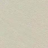 Light beige leather texture with a dense, irregular grain and subtle tonal variations, presenting a matte, durable, and natural appearance.