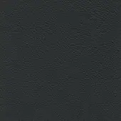 Dark gray leather texture with a regular grain pattern, matte finish, and subtle tonal variations; Porada “d31” leather sample.