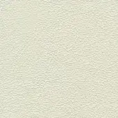 Light beige leather texture with a dense, repeating grain pattern and smooth surface, displaying subtle tonal variations in a studio setting.
