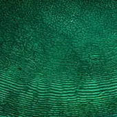 Cast glass texture, deep green color, with undulating horizontal lines and irregular cracks creating a layered, organic visual pattern.
