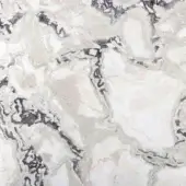 Dover White marble texture with gray and black veining, displaying polished surface and organic swirling patterns with beige undertones.