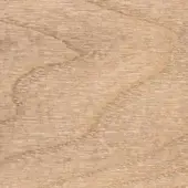 Ash canapa wood texture displaying a light beige tone, horizontal grain, and matte finish with visible knots and organic patterns.