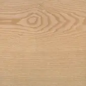 Natural ash wood surface with light beige tone, horizontal grain, and circular burl featuring concentric rings, matte finish.