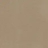 Potocco Flamingo Nocciola fabric texture, warm beige, matte finish, granular surface, consistent color, diffuse lighting, no visible pattern.