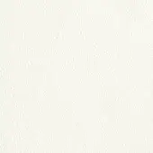Leather texture, Bianco C4i color, fine grain pattern with subtle tonal variations and a slightly pebbled, uniform surface.