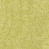 Olive green textured fabric sample with a speckled weave, dense construction, and matte finish; Potocco outdoor fabric detail.