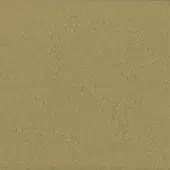 Gold lacquered metal texture with a granular, matte finish and mottled tone, presented in a studio shot against a neutral backdrop.