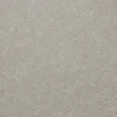 Light grey natural stone texture with dense granular pattern, subtle tonal variations, and dispersed dark flecks, displaying a matte finish.
