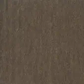 Beech wood texture, biscuit stained, with a linear grain pattern and matte finish, displaying warm muted brown tones and organic variations.