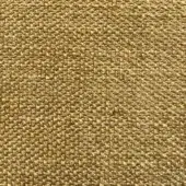 Presotto Yucatan fabric b yct25, golden-yellow woven texture, dense irregular pattern with a coarse matte finish.