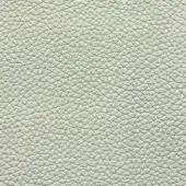 Pale green pebble-grain leather texture, Presotto panna 488, displays a dense, repeating bumpy pattern with a matte finish and subtle tonal variations.