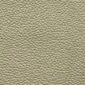Tortora leather texture with a dense, pebbled grain pattern, exhibiting muted beige tones and a matte finish, detailed surface.
