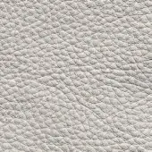 White leather texture with a dense, granular pattern and subtle sheen, presented as a seamless sample against a white background.