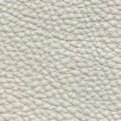 Light beige full-grain leather texture with a dense pebble grain pattern, matte finish, and subtle creases, sample code xt nhy00385.