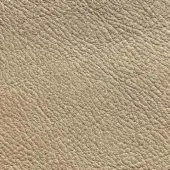 Light beige leather texture with natural grain, irregular bumps, and matte finish; Presotto “xt nhy02064” extra grade leather sample.