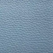 Light blue leather texture with granular grain, matte finish, and tonal variations; durable, heavy weight material sample.