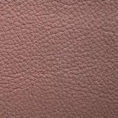 Leather texture sample, dusty rose color, dense bumpy grain, matte finish, compact surface, neutral background, natural tonal variations.