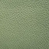 Sage green pebble grain leather texture, matte finish, thick hide with natural wrinkles, studio sample; presotto xt nhy18014.