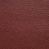 Reddish-brown leather texture, Presotto “xt nhy53374”, displays a granular, matte finish with dense, irregular bumps and subtle shading variations.