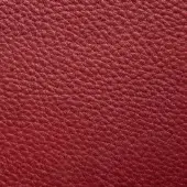 Red leather texture sample, Presotto “xt nhy55031”, displays a granular, pebbled surface with a matte finish and consistent pattern.