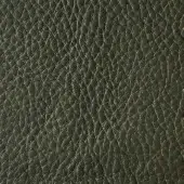 Dark olive-green leather texture with a dense, heavily pebbled surface and subtle lighter-colored grain variations against a dark background.
