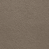 Presotto leather texture, medium-brown, full-grain with irregular patterns and matte finish; XT Arena 495 sample.