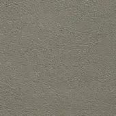 Presotto leather sample, gray-green, exhibiting a mottled texture with fine wrinkles and a matte finish, showcasing natural grain detail.