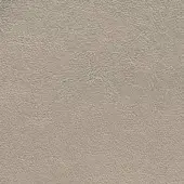 Light gray leather texture sample, pebbled grain, matte finish, soft and flexible with tonal variations, identified as xt oyster 2271.