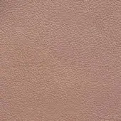 Presotto leather texture sample, rose-toned, granular surface with subtle irregular pattern and matte finish.