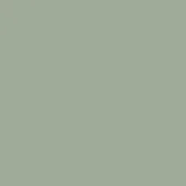 Verde quarzo lacquered finish swatch, rectangular shape, muted cool-toned green with gray undertones, smooth reflective surface.
