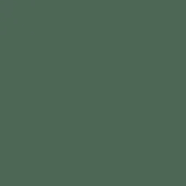 Verde salvia lacquered surface, smooth matte finish, consistent muted green tone with subtle luminosity variations, even diffuse lighting.