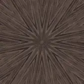 Radial brown graphic pattern with thin lines emanating from center, featuring text “reflex > glass > legnoreflex,” on a neutral background.