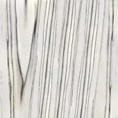 Marmoreflex surface, creamy white and black, diagonal zebra-like lines, polished glass texture, reflective veining pattern.