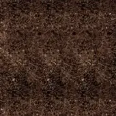 Dark brown soil texture with granular particles and sandy inclusions, exhibiting a complex, mottled, earthy tone and uniformly rough surface.
